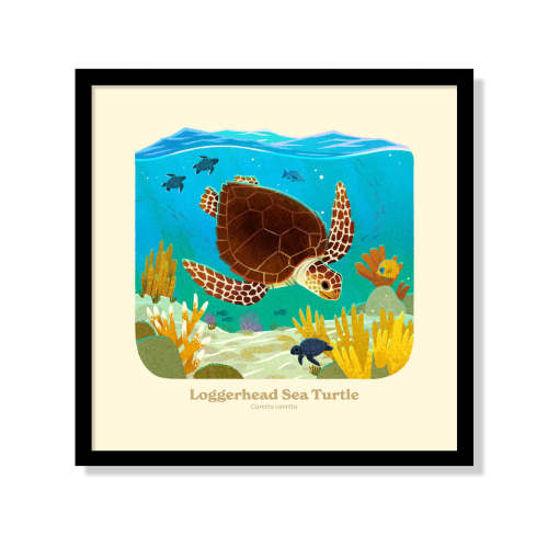 Loggerhead Sea Turtle National Park Alphabet Print – Fifty-Nine Parks
