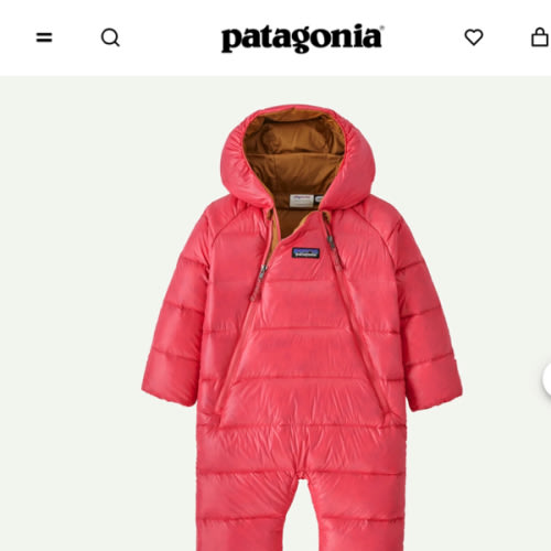 Patagonia Infant Hi-Loft Down Sweater™ Bunting Snowsuit