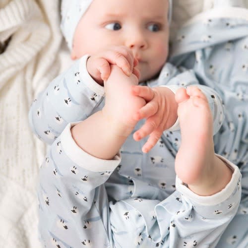 blue baa baa baby modal magnetic fuss free coverall – Magnetic Me
