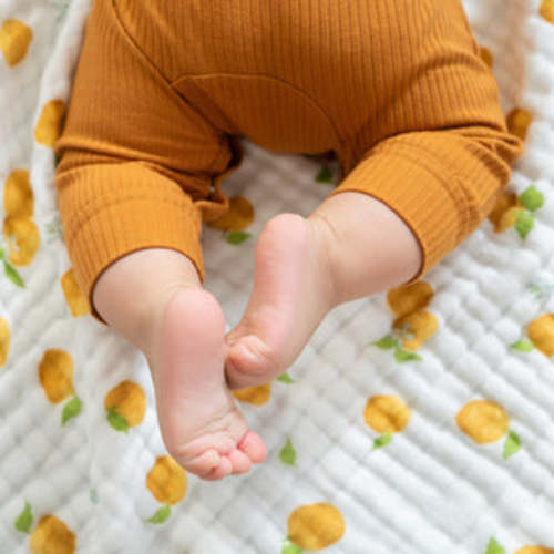 Organic Cotton Muslin Blanket in Fresh Fruit | aden + anais