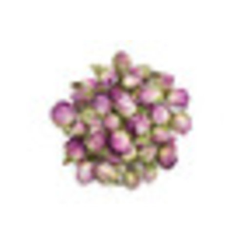 Rose Buds