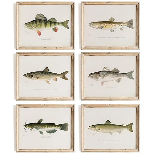Fish Wall Art Prints (Set of 6) - Unframed - 8x10s | Vintage Fishing Decor - Reproductions of Vintage Fish Drawings - Midwest Fish Species - Great Gift for Fisherman