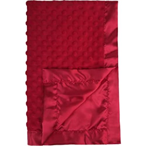 Pro Goleem Baby Soft Minky Dot Blanket with Silky Satin Backing Baby Gifts for Boys and Girls (Red, 30’’ x 40’’)