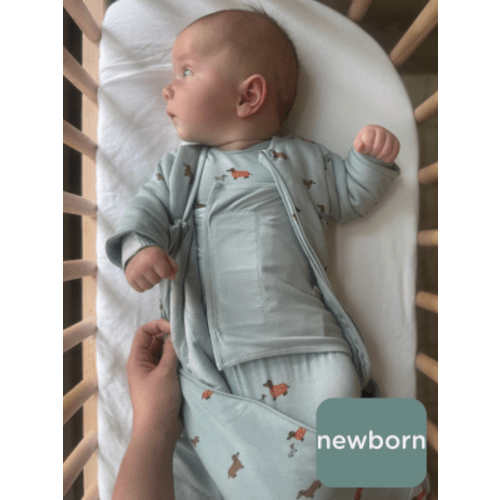 Cloud Blanket - Woof / 1.0 TOG