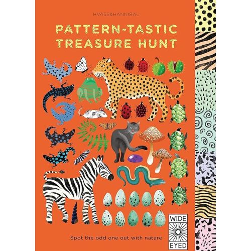 Pattern-tastic Treasure Hunt: Spot the odd one out with nature Board book – March 3, 2016