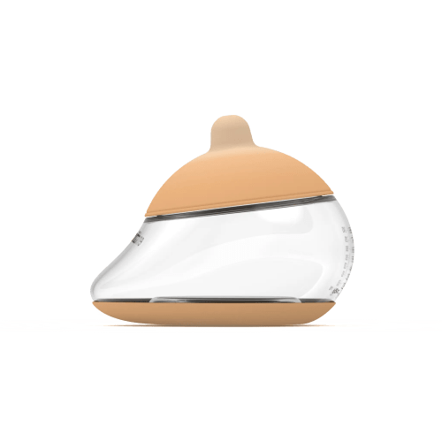 The Anatomy Bottle