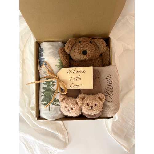 Baby boy gift, baby boy shower gift, new baby boy gift, baby boy bear gift box