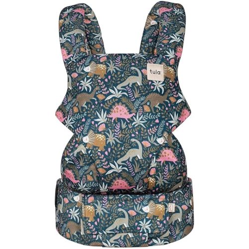 Baby Tula Explore Mesh Baby Carrier - 7-45 lb, Adjustable Newborn to Toddler, Multiple Ergonomic Positions Front and Back, Breathable and Cool - Coast + Mesh, Land Before Tula