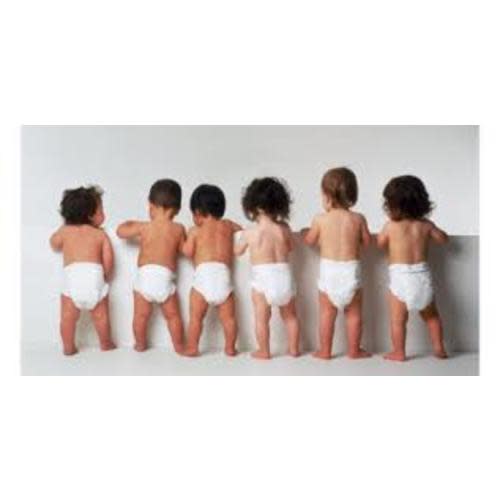 Babylist Shop Gift Card
