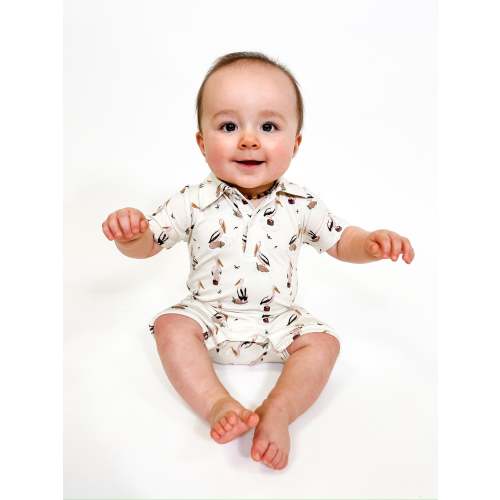 Polo Shortall - Pelicans