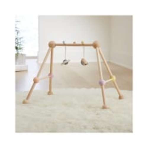 Plan Toys Play Gym