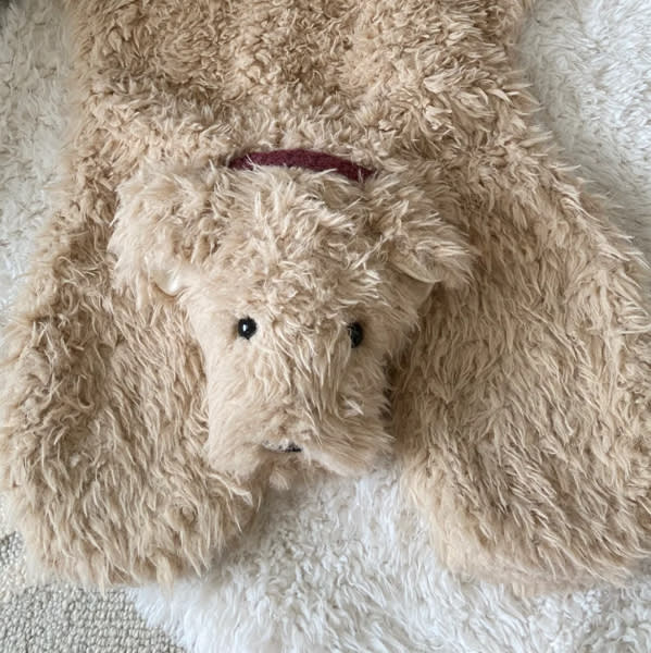 Maybe Dog Lovey Blanket