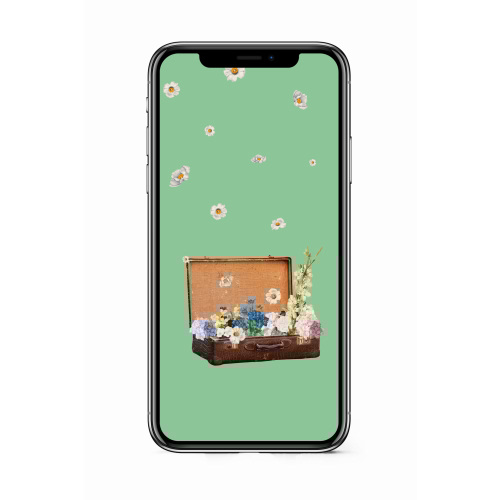 E-GIFT CARD (VIRTUAL) - LIMITED EDITION - Green | ZARA United States
