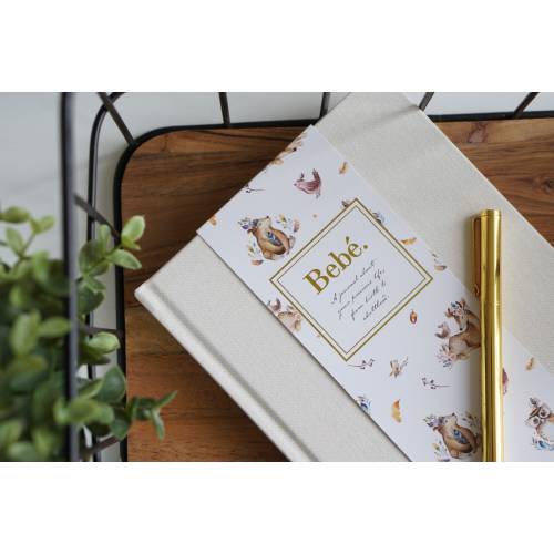 Baby Journal with Keepsake Box and Pen, 18 Years, Pregnancy Journal, Baby Book, Baby Memories Book [IVORY COLOUR]