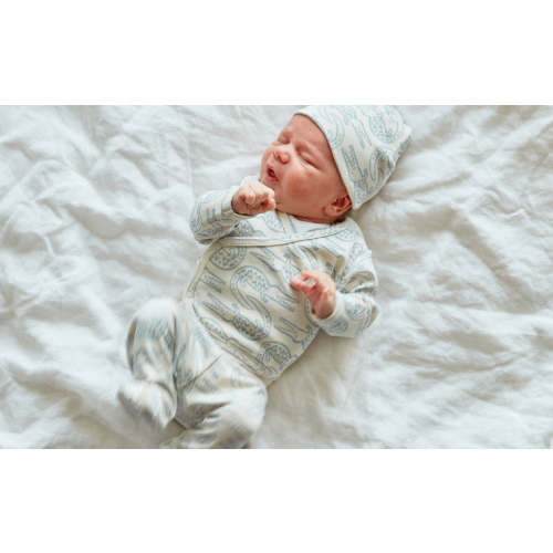 Take Me Home Outfit - Alligator in Bay Blue | Lewis