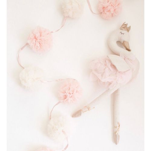 Ballerina Swan