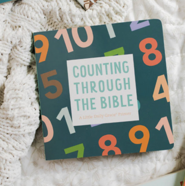 Counting Through the Bible Board Book – The Daily Grace Co.