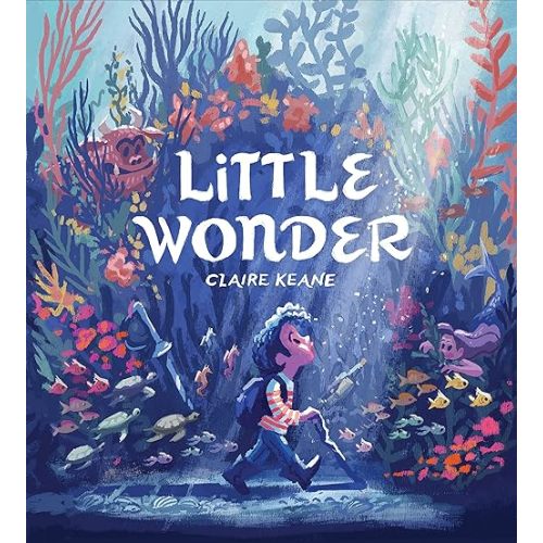 Little Wonder Hardcover – Picture Book, March 29, 2022
