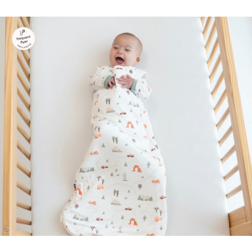 Sleep Bag in Road Trip 1.0