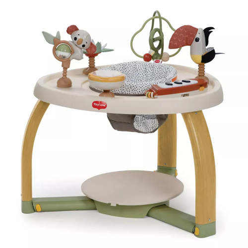 Tiny Love 5-in-1 Baby Activity Center