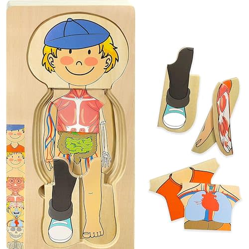 Kidzlane Boy Wooden My Body Puzzle for Toddlers & Kids - 29 Piece Boys Anatomy Puzzle Kid Play Set - Anatomy for Kids, Skeleton Toys for Kids Ages 3 Plus