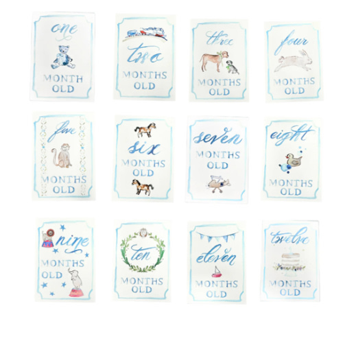 Monthly Milestone Card Set - Blue | Danrie