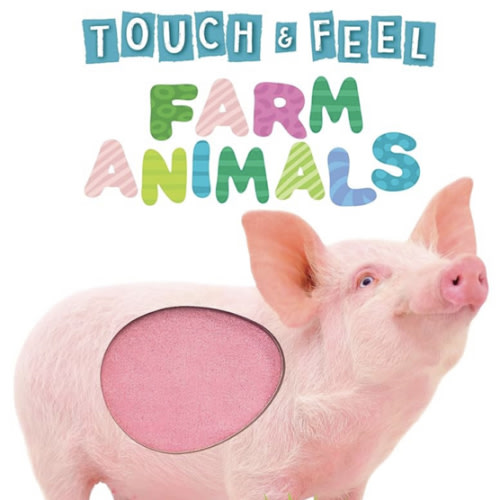 Touch and Feel Farm Animals - Novelty Book - Children's Board Book - Interactive Fun Child's Book