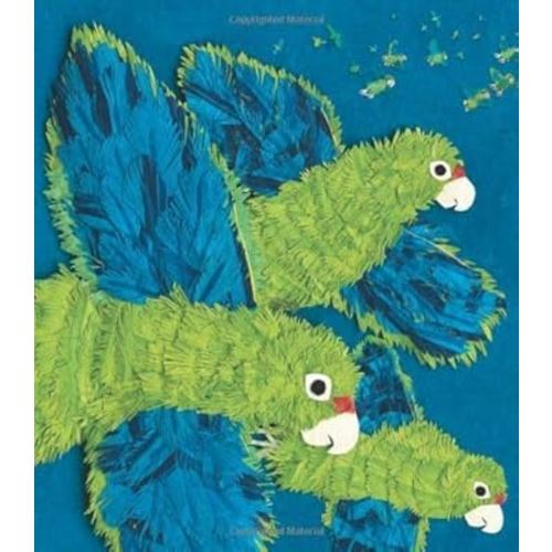 Parrots Over Puerto Rico