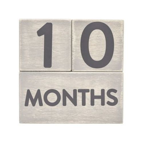 Pearhead Baby Milestone Age Blocks - Gray