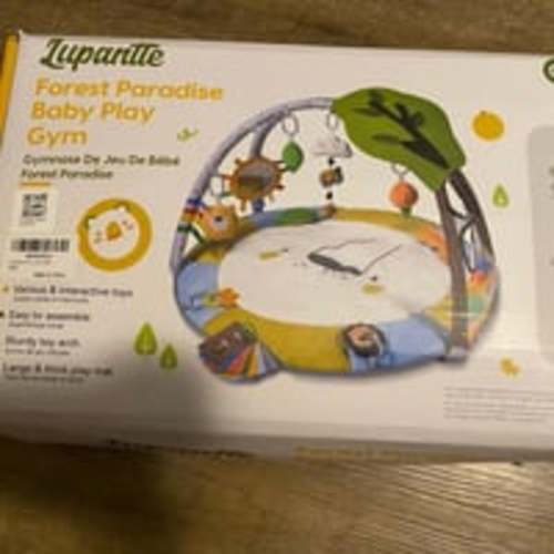 Baby play gym