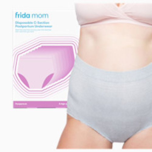 Frida Mom Disposable High Waist Underwear - Gray, Regular
