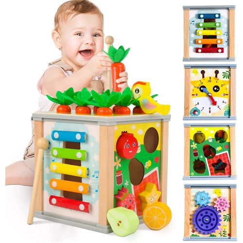 Montessori Toys for 1 Year Old Girl Birthday Gift - 7 in 1 Montessori Toys  fo