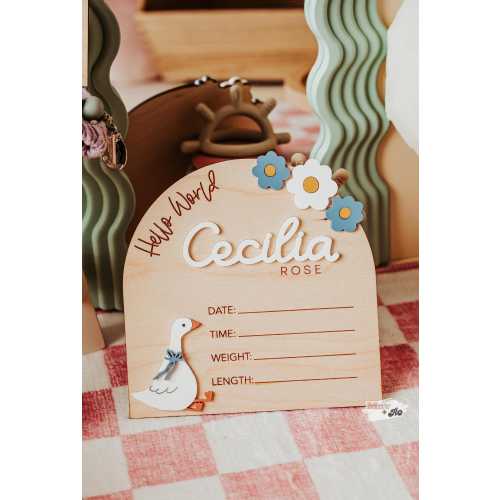 Coquette Goose Baby Announcement and Baby Stat Sign