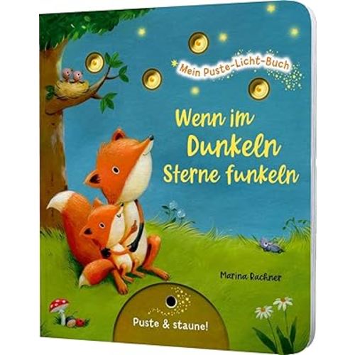 Mein Puste-Licht-Buch: Wenn im Dunkeln Sterne funkeln: Gute-Nacht-Buch mit Puste-Licht und LED-Lämpchen, Mitmachbuch für Kinder ab 18 Monaten