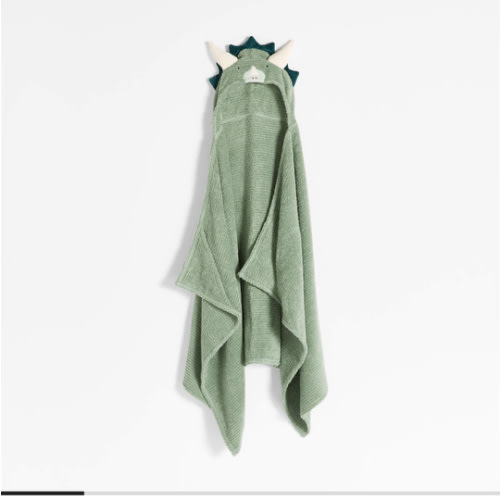 Dinosaur Organic Cotton Hooded Kids Towel