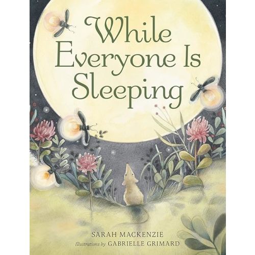 While Everyone Is Sleeping Hardcover – Picture Book, January 1, 2023