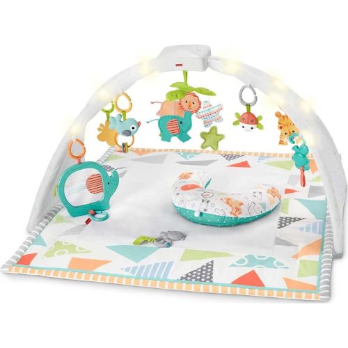 FISHER-PRICE SAFARI DREAMS MUSIC LIGHTS GYM