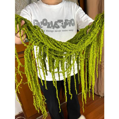 5 pcs green Hanging Amaranthus flower,preserved Amaranthus bunch,dried flower art,hanging flower decor,wedding arch decor,background decor