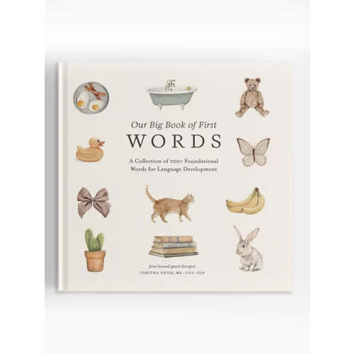 Our Big Book of First Words