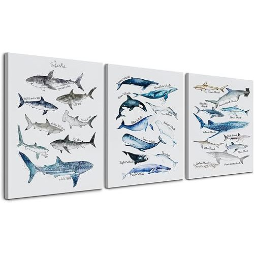 Nogrit Shark Decor: 16x24 Inch Canvas Wall Art Set of 3, Perfect for Bathroom, Home, Classroom, Library, Dorm - Whale Shark Gift for Lovers, Students, Kids, Teens