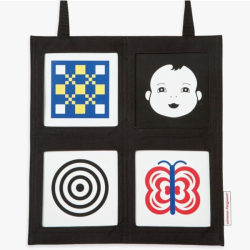 Manhattan Toy Wimmer-Ferguson Car Seat Gallery, 4 Windows for Flashcards