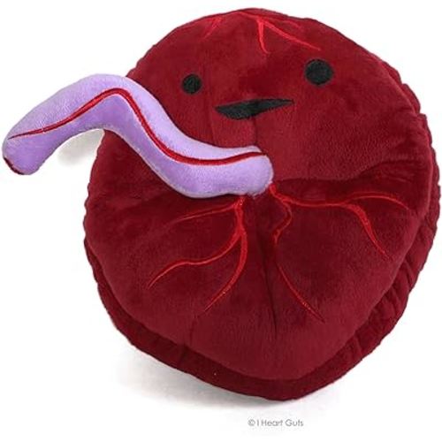 I Heart Guts Placenta Plush - Baby's First Roommate - 10" Odd Baby Gift Stuffed Toy