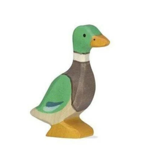 Holztiger male duck (drake), standing