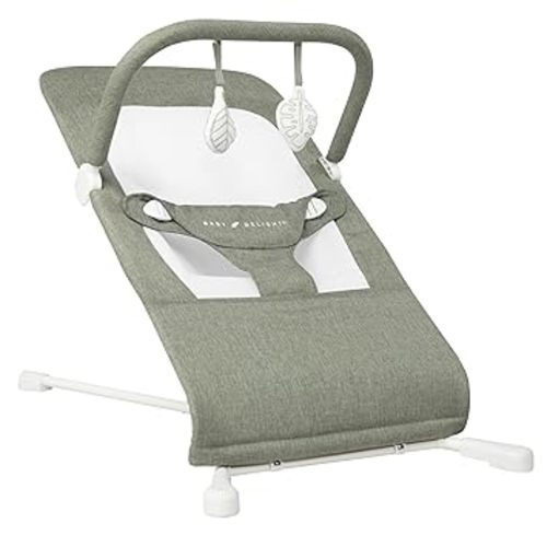 Baby Delight Highland Baby Bouncer | Infant | 0 – 6 Months | 3-Position Recline | Sage Tweed