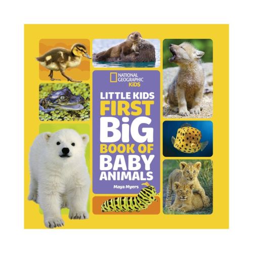 National Geographic Little Kids First Big Book of Baby Animals - (National Geographic Little Kids First Big Books) by Maya Myers (Hardcover)