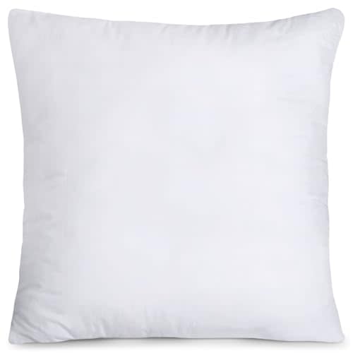 Utopia Bedding Throw Pillows (Set of 1, White), 20 x 20 Inches Pillows for Sofa, Bed and Couch Decorative Stuffer Pillow