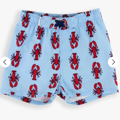 Animal Swim Trunks