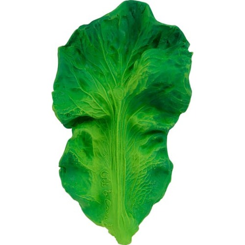 Oli and Carol Kendall the Kale Teething Toy