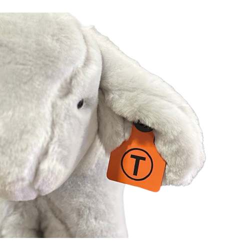 Custom Brand Ear Tags