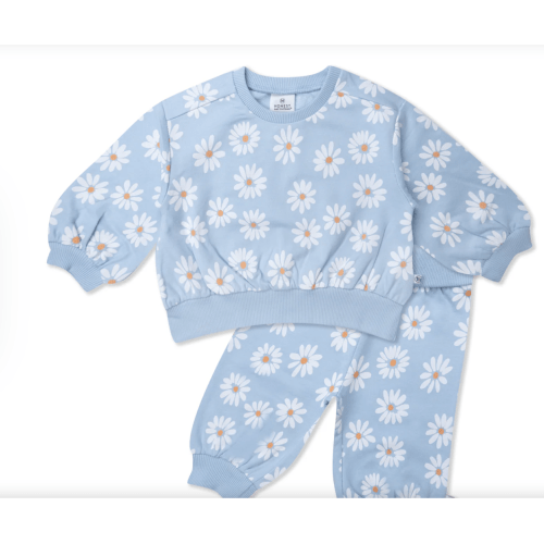 2-Piece Cozy Sweatsuit Set | Honest Baby Clothing